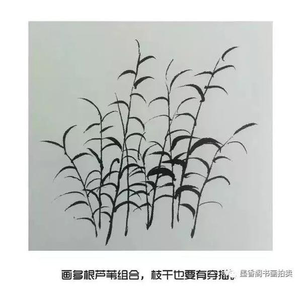 国画入门教程|写意芦苇的画法