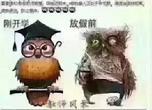 各位教师家属,因临近期末,您的爱人正处于炸毛期!