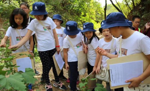 调查:研学旅行学校参与率平均38%,莫让研学变低效旅游