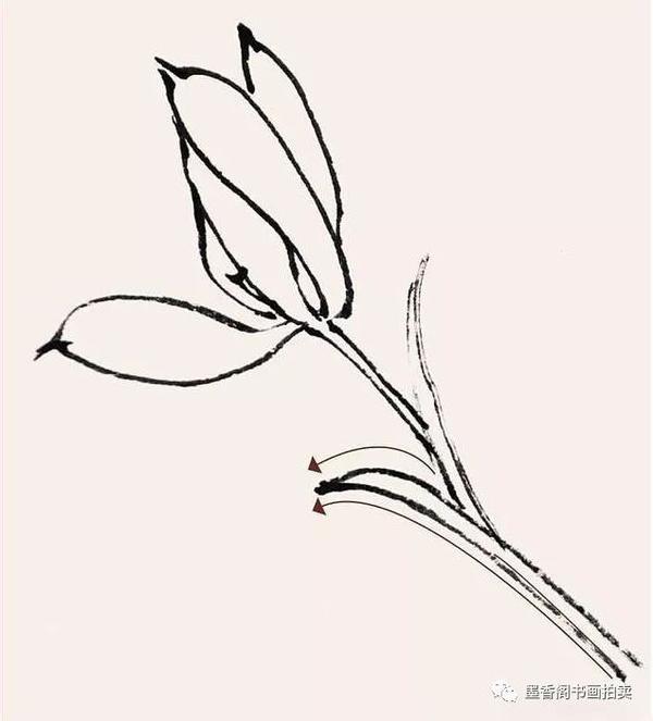 国画基础:兰花花头的各种画法