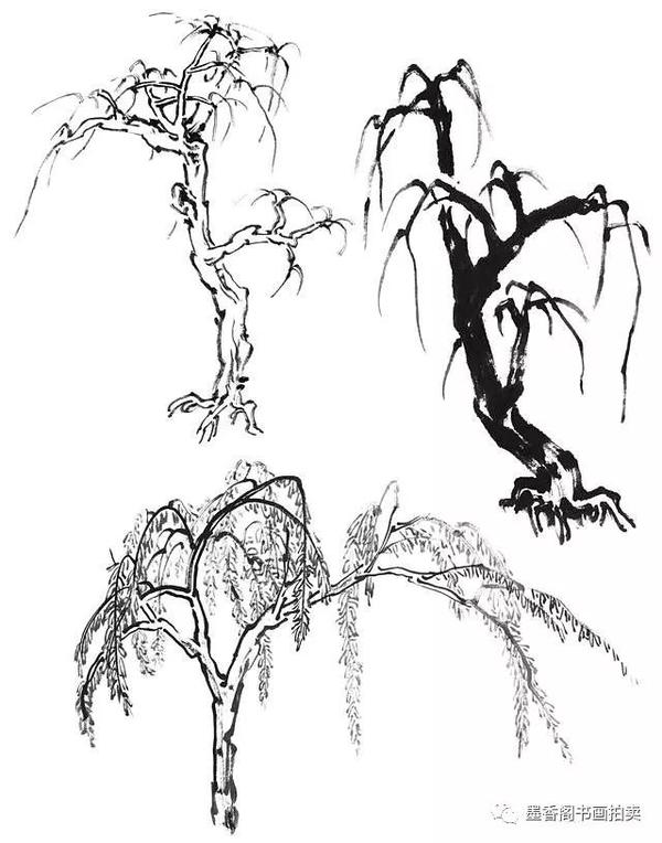 国画基础:常见树的画法