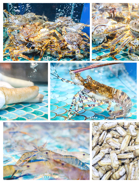 470_617 竖版 竖屏