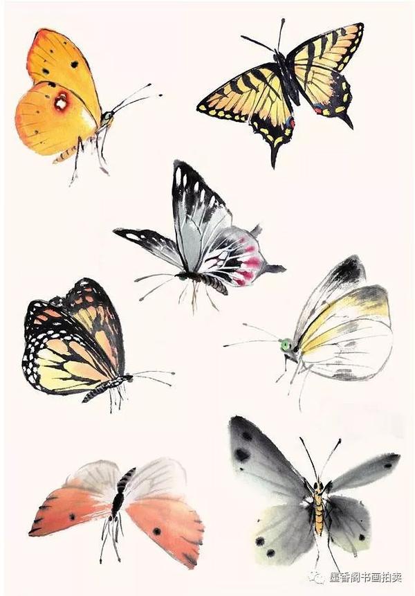 几种写意蝴蝶的画法,学会了拿去补景是一绝