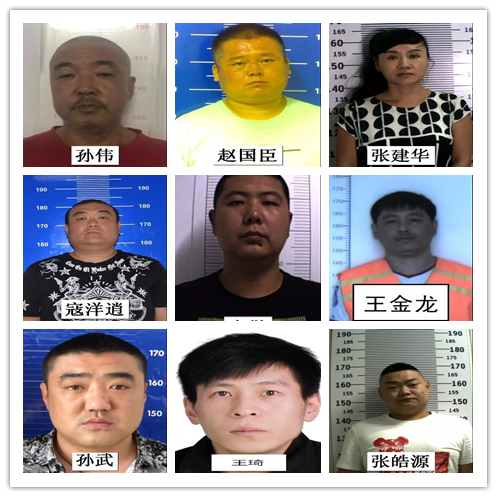 经查,该团伙人员涉嫌故意杀人,故意伤害,聚众斗殴,寻衅滋事,开设赌场