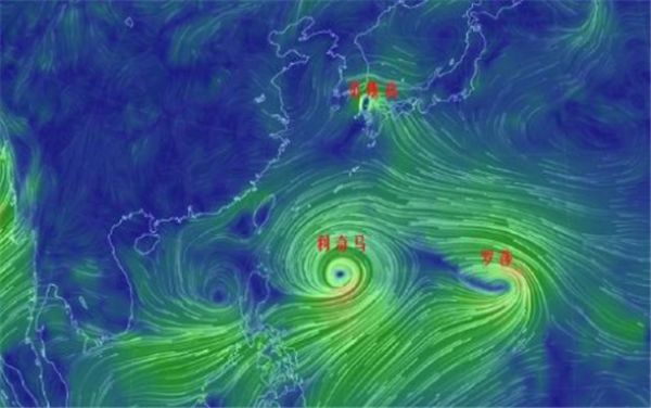 台风来袭!山东将迎大范围,强降雨!聊城未来3天都有雨!