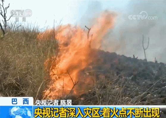 深入亚马孙雨林大火灾区:新的着火点不断出现