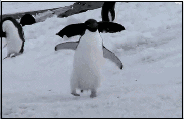 今天的潍坊人是这样走路的,简直是在用生命出溜滑!