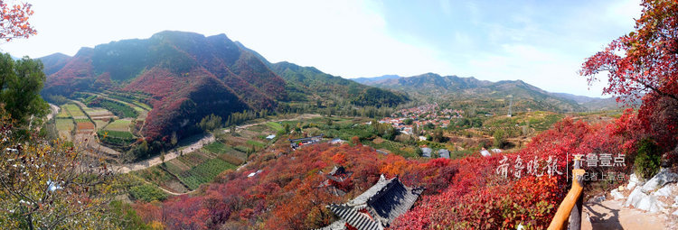 沂源南鲁山镇:彩叶缤纷秋意浓