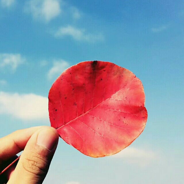 花样垛庄