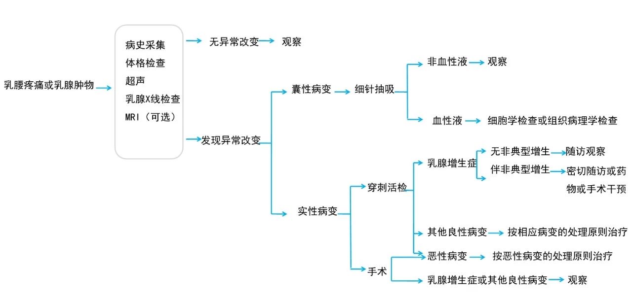 一文读懂丨乳腺增生和乳腺结节有啥区别