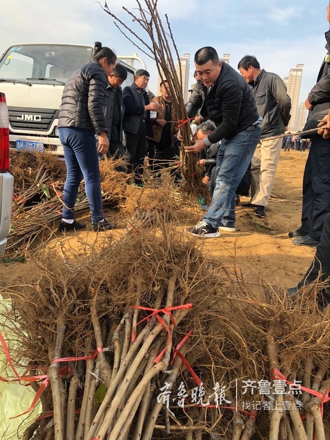 科技大集!烟台农科院果树新品种展示观摩会开