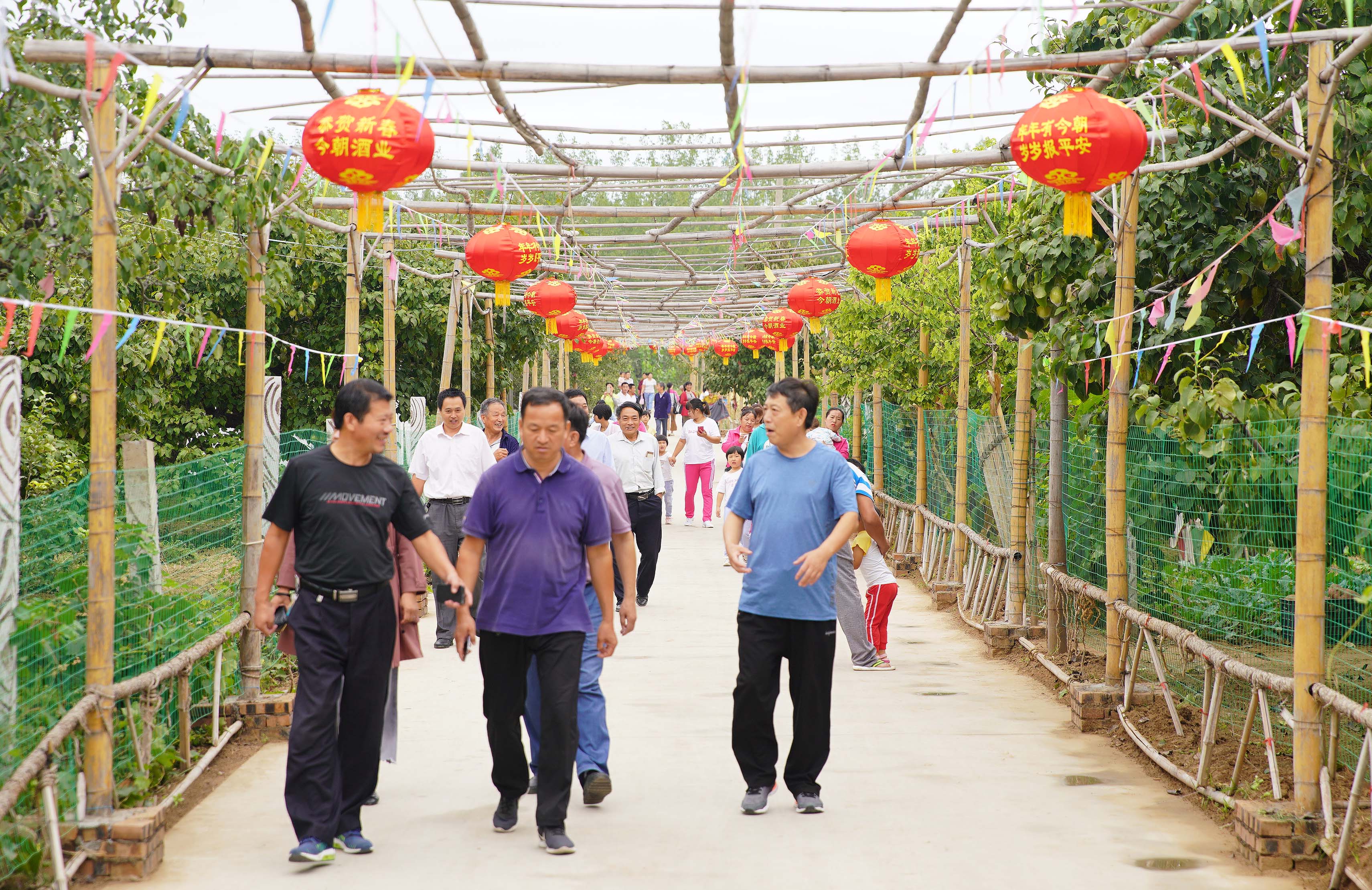 济南:商河百年梨园旗袍秀 李桂芬贡梨甜醉采摘客