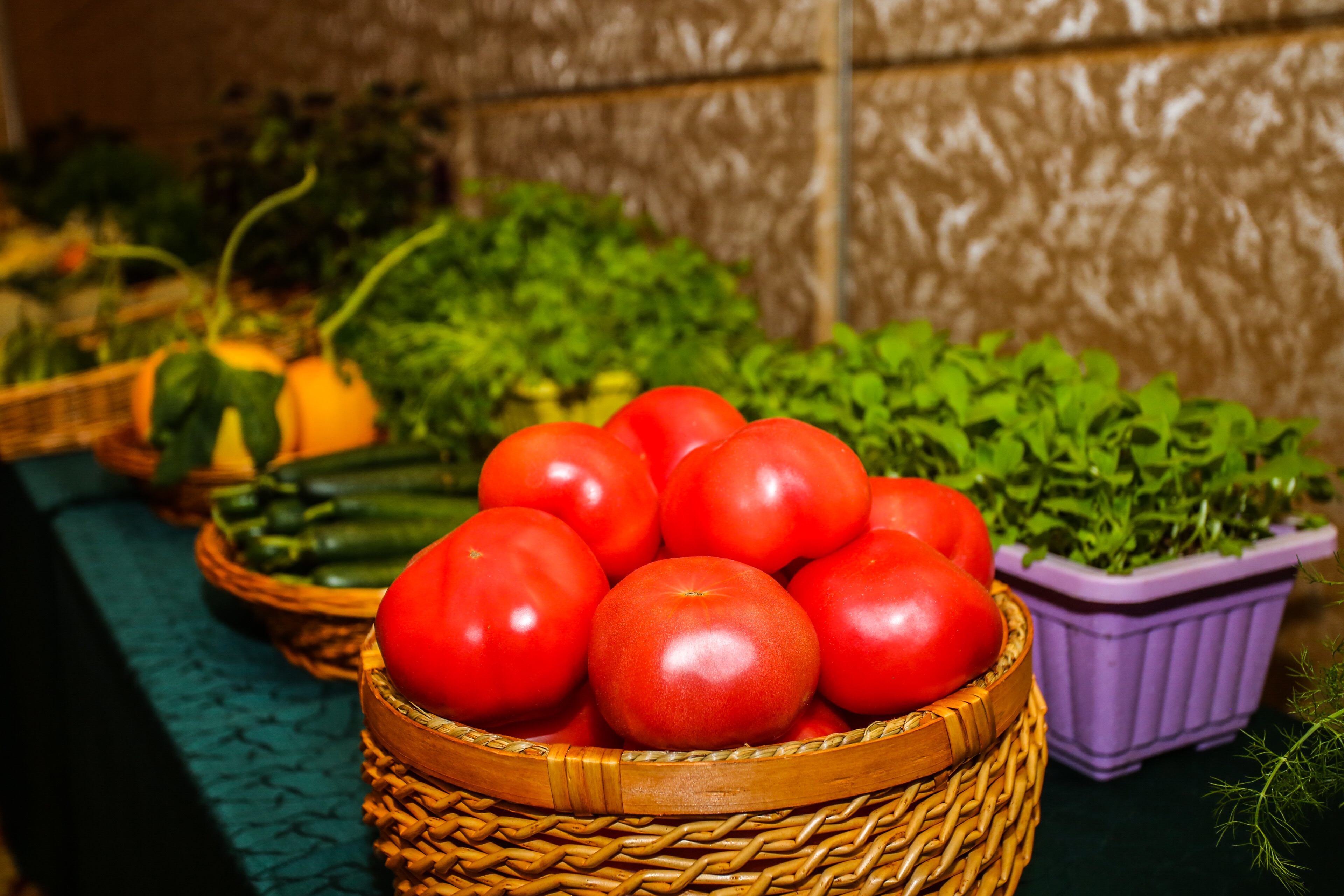 第二届山东聊城(莘县)瓜菜菌博览会将于4月26举办