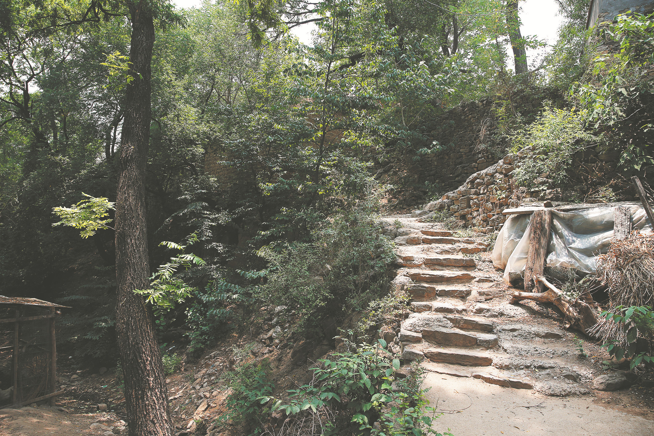 博山聂家峪村石寨上的传奇故事