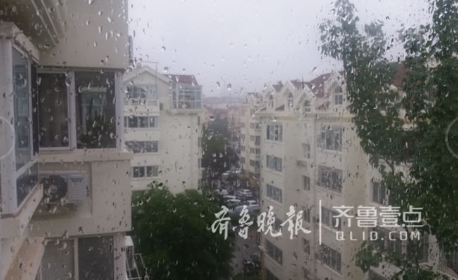 听,清晨小雨敲窗!青岛今有小到中雨,出门带好伞