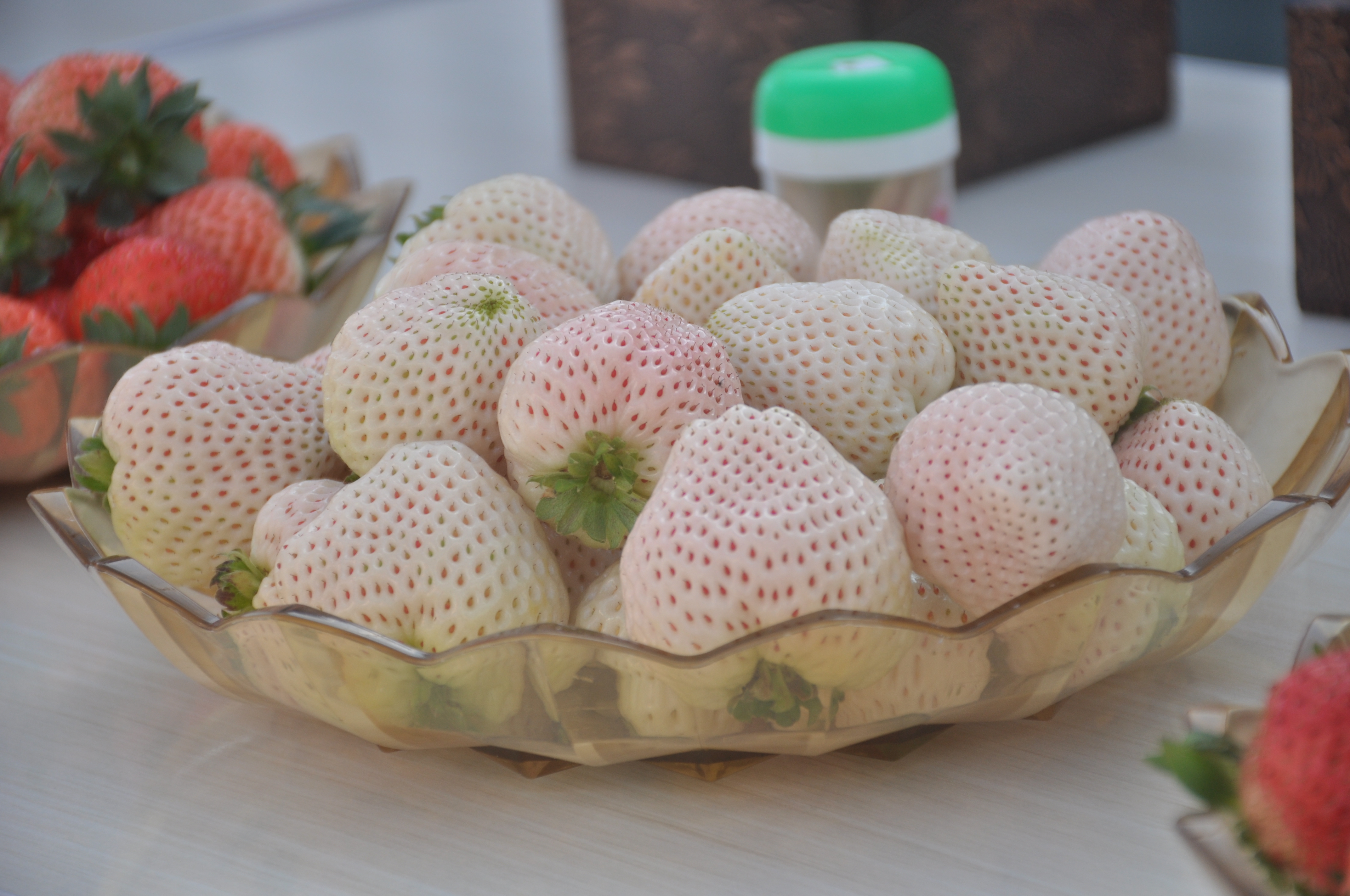 目前这里已繁育出红色,粉色,白色等色系18个品种的草莓,拥有草莓采摘
