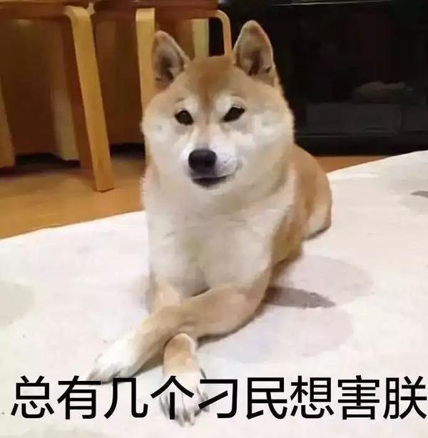 狗字