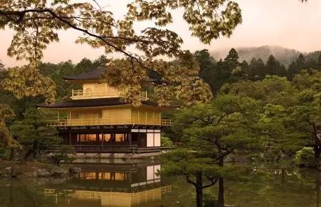 中国游客赴日主要目的TOP10,第一名果然不出