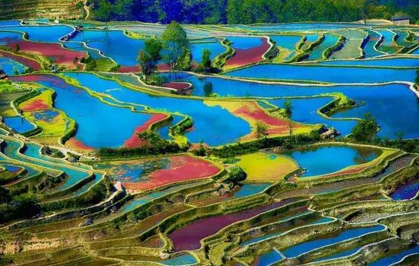 云南省红河哈尼族彝族自治州元阳县 旅游小贴士 : 1,到云南元阳看梯田