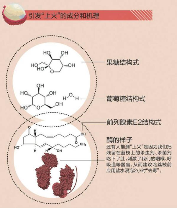 (见下图);或者是一种过敏反应,并指出荔枝中的过敏原可能是磷酸三碳糖