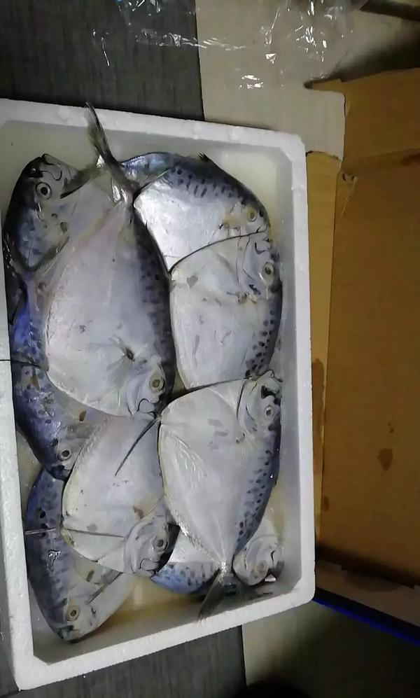 【特别提示】 遇到专门兜售海鲜的白色汽车请当心,有问题!