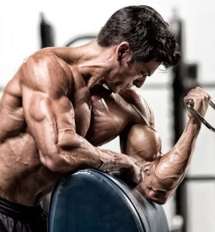 肱二头肌蜘蛛弯举!介系你没有玩过的船新版本!