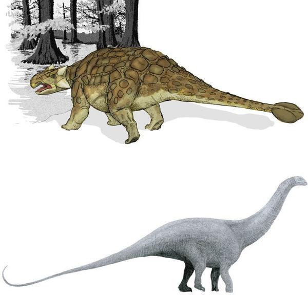 龙(tianyulong)和库林达奔龙(kulindadromeus)身上也都发现了羽毛