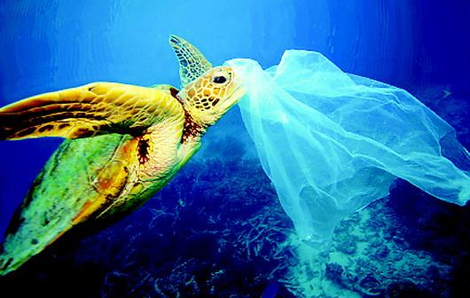 可降解塑料真能解决白色污染吗?