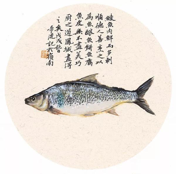    【顺德鲮鱼记】