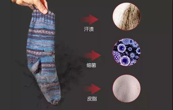 还有成千上万个                    肉眼看不见的细菌