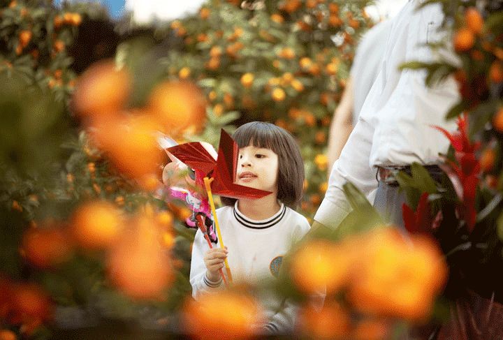 二月|宜回家过年,宜和气生财