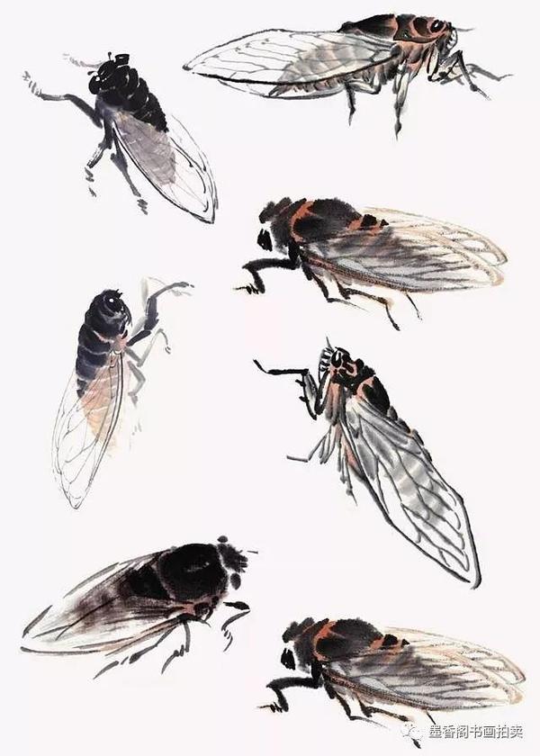 国画教程:四种常见的草虫的画法,简单易学