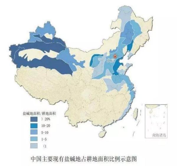 今天,我欠袁隆平的大米,終於有機會還上了!