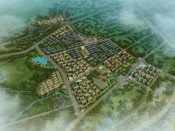 访谈丨担当作为 狠抓落实专访岚山头街道党工委书记李向涛