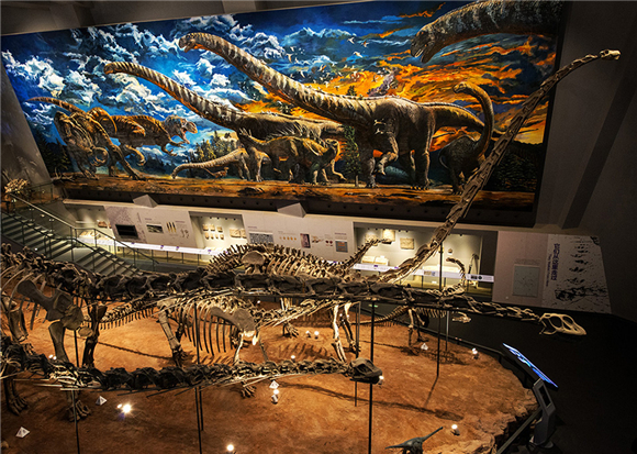 春游重庆自然博物馆怎么去哪里停车?