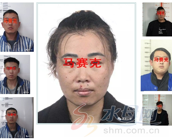 碰瓷!诈骗!花样繁多的犯罪团伙被蓬莱公安打掉