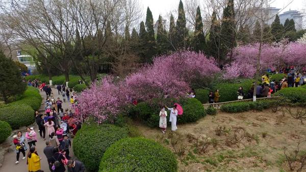 濟南竟然有這麼多免費公園春天出遊踏青走起吧