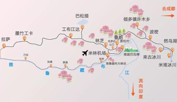 下一站,去林芝.