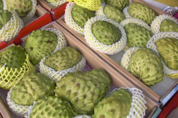 它是世界上最甜的水果,印度遍地是,国内35元一斤仍抢着买!