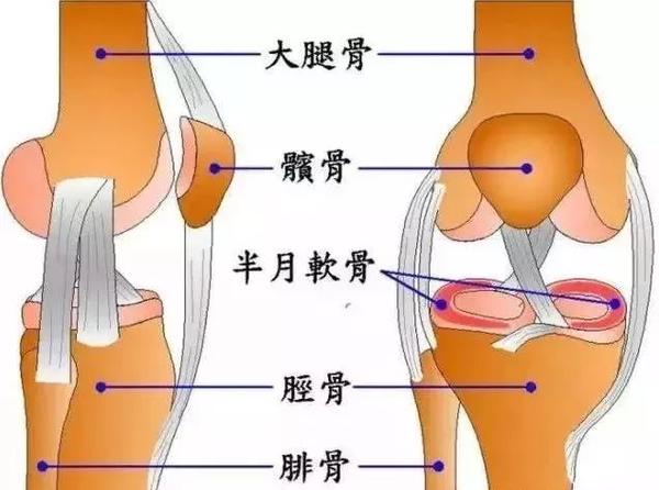 【主要症状】               膝盖前面和侧面疼痛