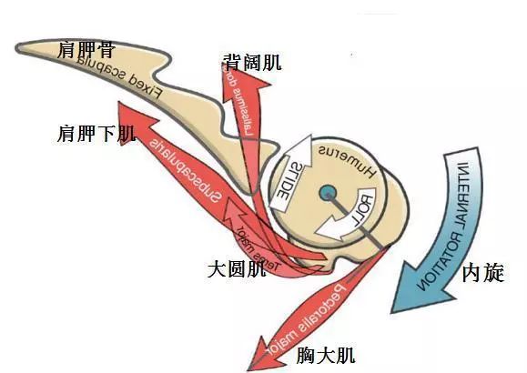 首先是這些肌肉緊張.