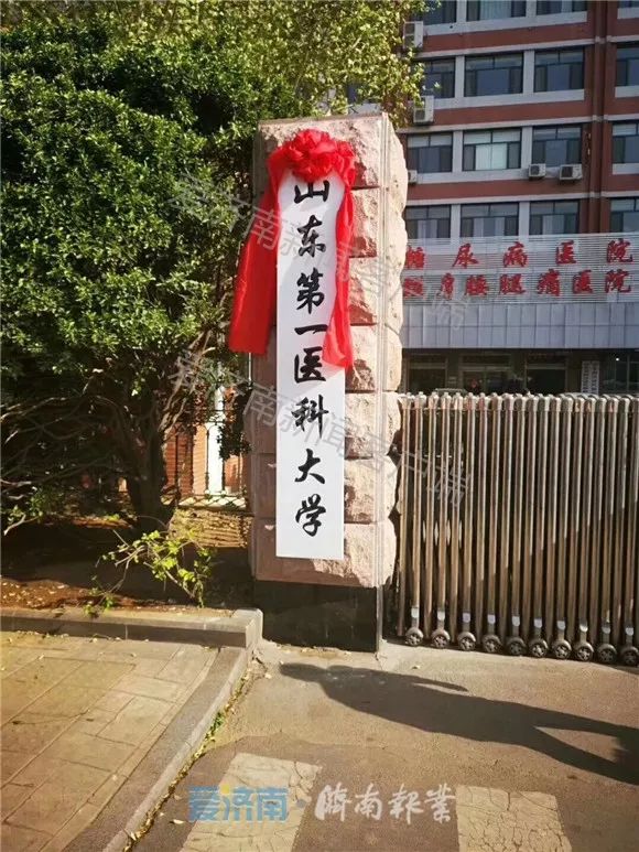 泰山医学院毕业证图片图片