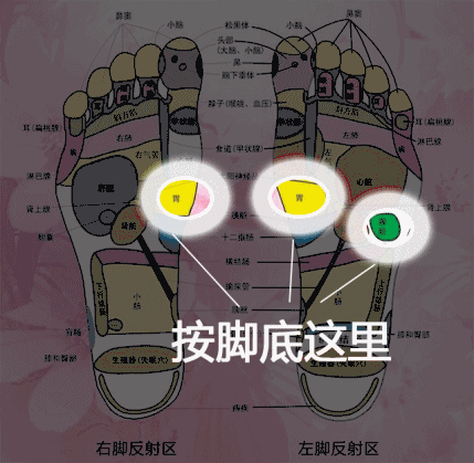 脾胃虚弱,胃痛,食欲不振按这里