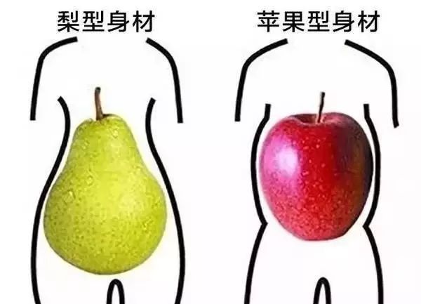 但其实肥胖的本质仍旧是过量饮食和缺乏体力活动导致的脂肪堆积.