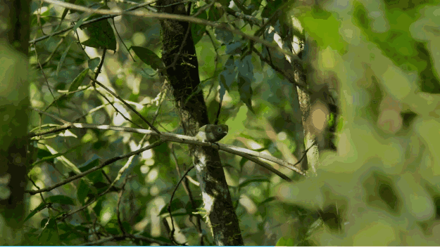 "叛变"的bbc御用团队,一出手又是9.8分神作