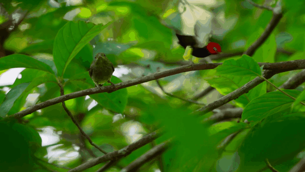 "叛变"的bbc御用团队,一出手又是9.8分神作
