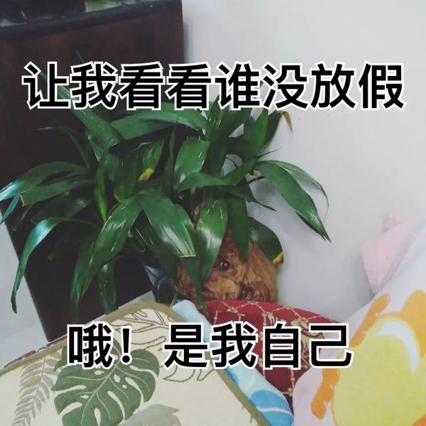 85%!长城,故宫,西湖都挤成那样了!网友:世界那么大,我好想回家
