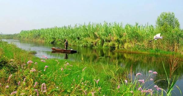 未成年人,全国统招全日制在校大学生,现役士兵证或军官证和军校学员证