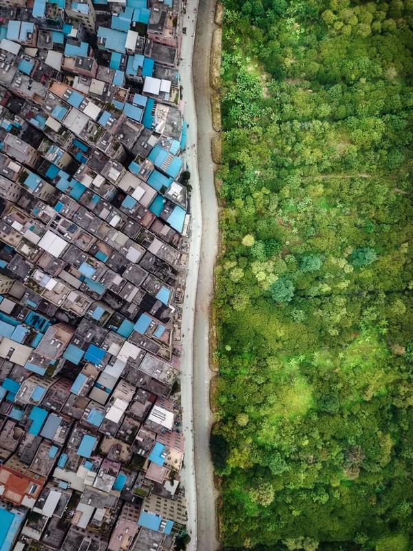 森林锐减全球图片