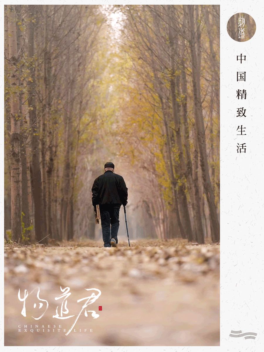 豆瓣9.4的神仙综艺:如果生命的尽头是遗忘,谢谢我们曾经相遇